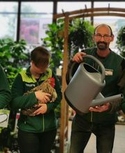 Gamm Vert Marans image 12