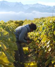 Chappuis Christophe Bild 2