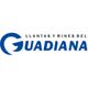 Michelin Car Service Llantas y Rines del Guadiana Suc. Avila Camacho