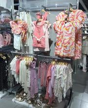 Orchestra BERCK image 9