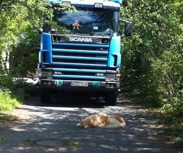 Möbeltransporte