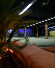 APEX Indoor Golf Bild 3