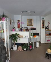 DONG 2000 TCM GmbH Bild 3