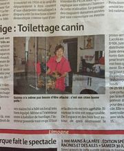 O'Prestige Canin image 7