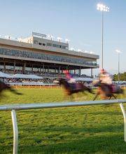 Colonial Downs Racetrack image 7