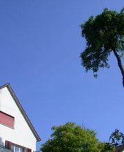 Gartenbau Teich Zürich