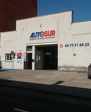 Autosur image 5