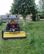 Bossuet Jérôme image 4