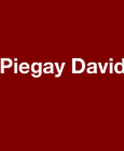 Piegay David image 2