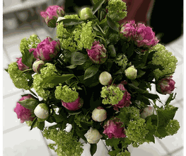Blumeninsel Sudmeyer Bild 2