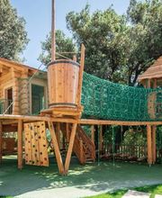 Forst Aletsch Bild 2