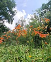 Vert & Beau image 18