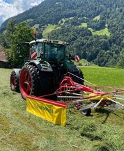Rubin's Lohnarbeiten Bild 6