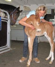 Dr méd. Ischer Karin Bild 2