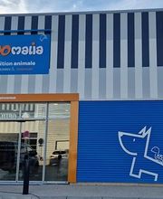 ZOOMALIA Saint-Maixent - Azay 79 | Animalerie image 14