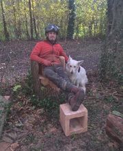 Arbor Environnement image 3