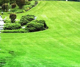 Martin Epple Garten- und Landschaftsbau Bild 1