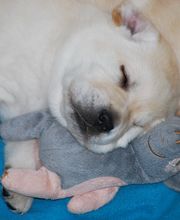 Tanja Wiedenmann Bild 19