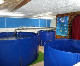 Koi-Müller-Erzgebirge Bild 4