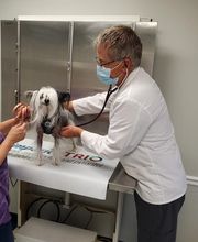 Monmouth Small Animal Hospital image 10