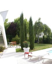 Baumann Pierre image 13