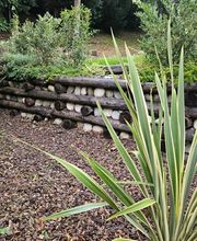 TICINO SPECIAL GARDEN SAGL Bild 4