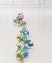 Ballett & Tanzschule Nathanja Huber Bild 7