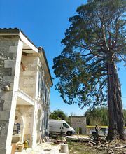 Tachet Pierre-Hubert image 5