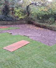 Baumpflege Kompakt, Johannes Mortier Bild 2