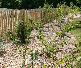 Nicolas Varidel Nature+Jardins Bild 3