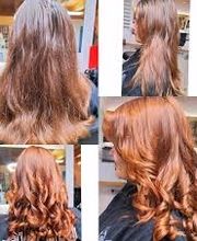 Coiffeur Chamäleon Bild 1