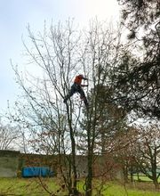 Baummensch GmbH Bild 3