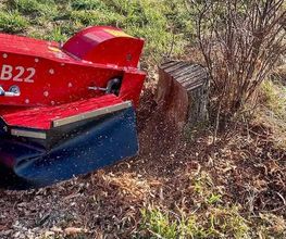 Gartenpflege & Landschaftspflege Sommer Bild 3