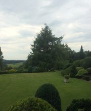 Baumpflege Oliver Schäfer Bild 7