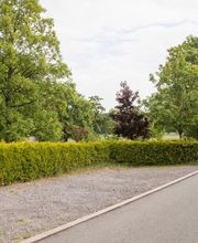 FriedWald Ohetal Bild 7