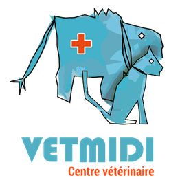VETMIDI Etoy - Centre vétérinaire