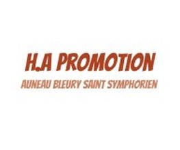 H.A Promotion image 1