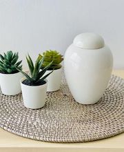 Funema Alzira imagen 14