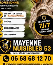 Mayenne Nuisibles 53 image 3