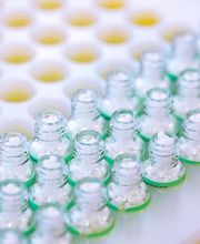 SHI Haus der Homöopathie Bild 11