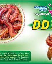 Normandie Appats NAPA image 5