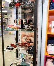 Gallery Cliente