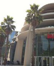 DARTY Nice Lingostiere image 2