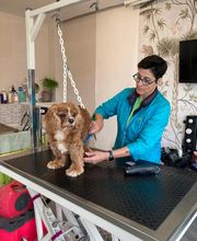 Paula Toutou Mobile image 1