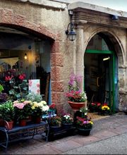 L'Arum Antic image 1