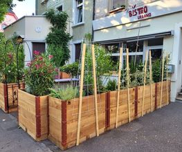 Gartenbau Hoch3 Bild 1