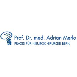 Prof. Dr. med. Merlo Adrian
