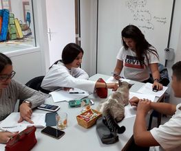 Apte image 1