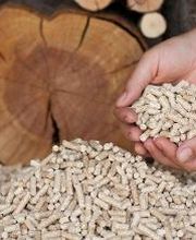 Transerrasol imagen 8