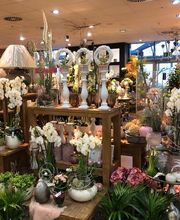 Blumen Interfleur Floristik & Wohnaccessoires Bild 6